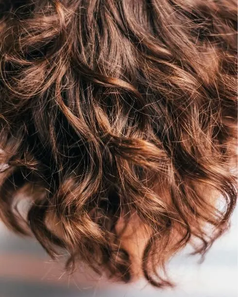 Close-up of glossy brown curls